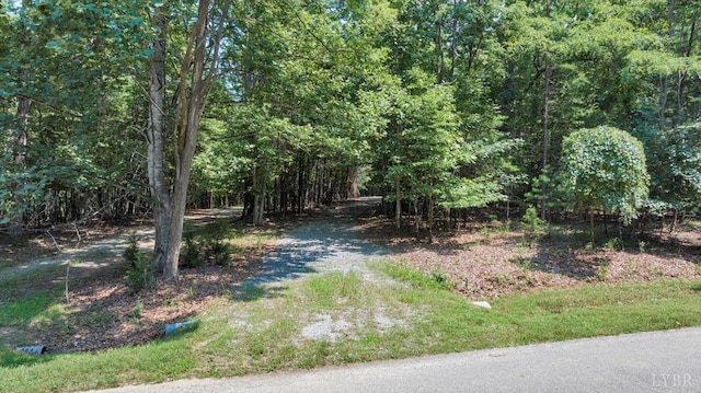 0 Lakefield Dr, Huddleston, VA 24104