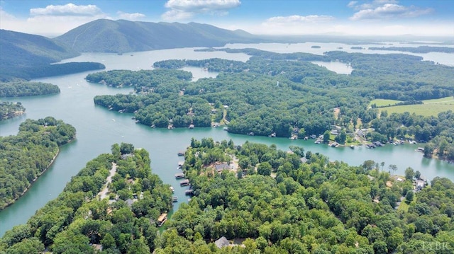 0 Lakefield Dr, Huddleston, VA 24104