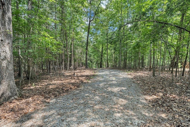 0 Lakefield Dr, Huddleston, VA 24104