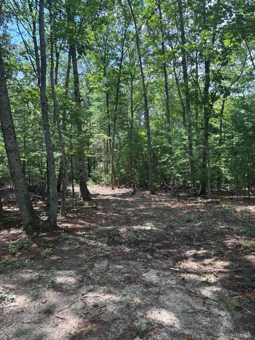 0 Cheatham Rd, Monroe, VA 24574