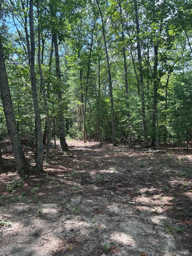 0 Cheatham Rd, Monroe, VA 24574
