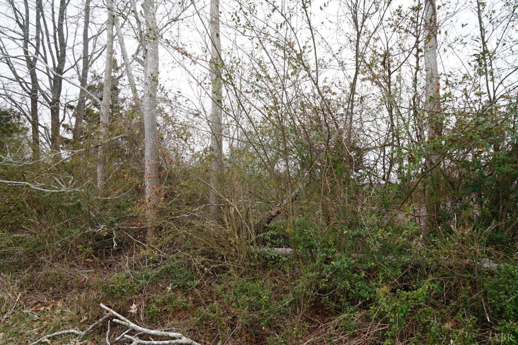 1225 Tobacco Rd, Nathalie, VA 24577 - photo 2