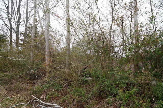 1225 Tobacco Rd, Nathalie, VA 24577 - photo 2