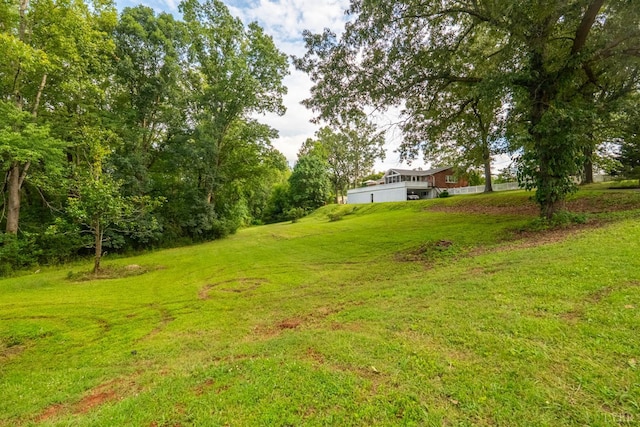176 Spruce Ln, Lynchburg, VA 24501 - photo 69