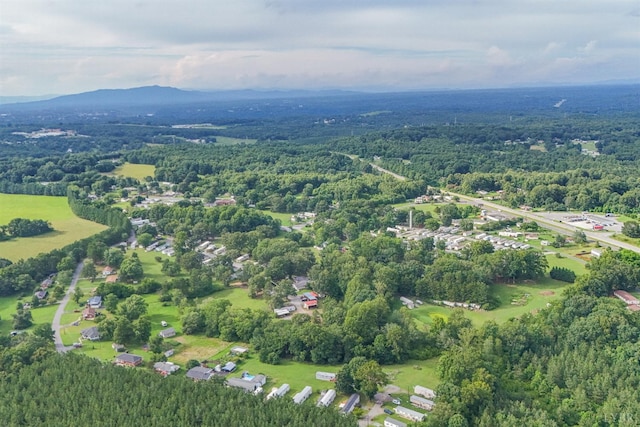 176 Spruce Ln, Lynchburg, VA 24501 - photo 91