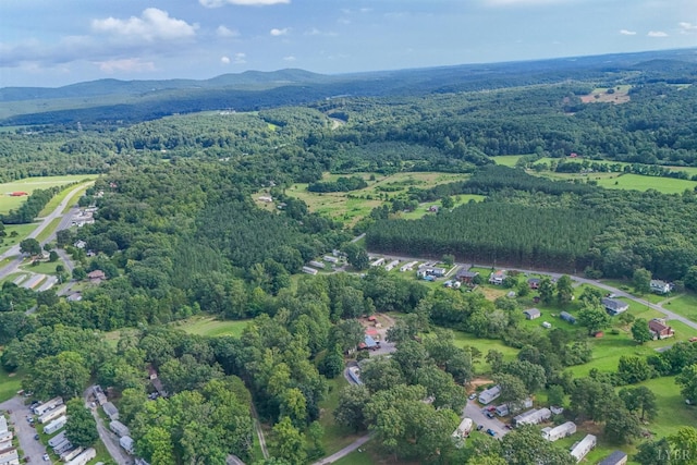 176 Spruce Ln, Lynchburg, VA 24501 - photo 93
