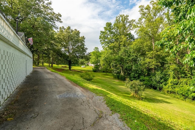 176 Spruce Ln, Lynchburg, VA 24501 - photo 76