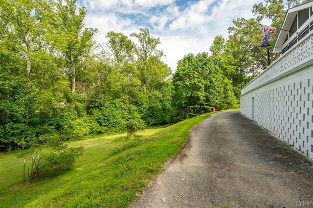 176 Spruce Ln, Lynchburg, VA 24501 - photo 77