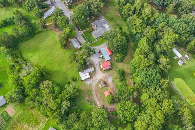 176 Spruce Ln, Lynchburg, VA 24501 - photo 88