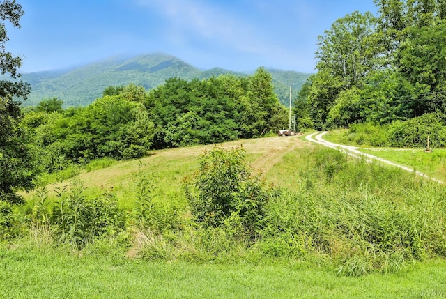 217 Allens Paradise Ln, Tyro, VA 22976 - photo 25