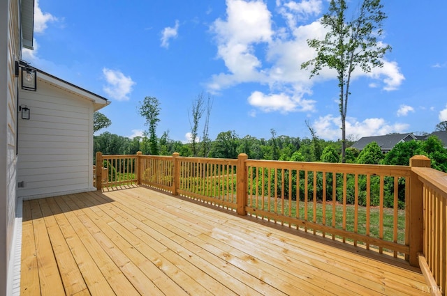 917 Elmwood Ave, Lynchburg, VA 24503 - photo 75