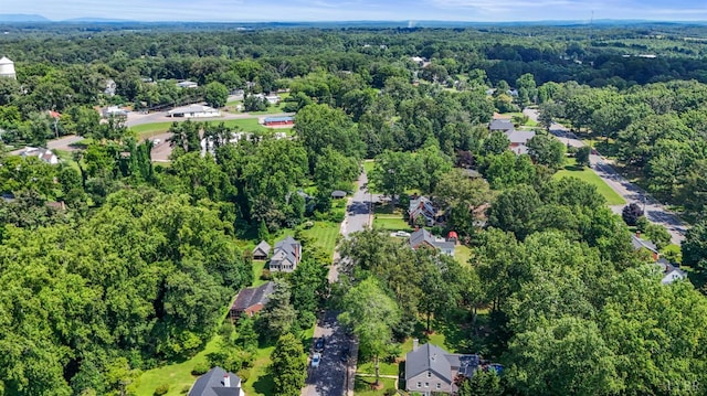 227 Catalpa Dr, Chatham, VA 24531 - photo 68
