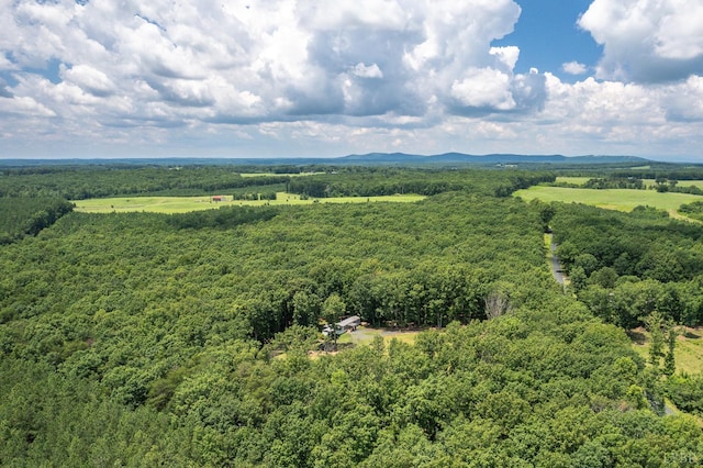 7515 New Chapel Rd, Spout Spring, VA 24593 - photo 34