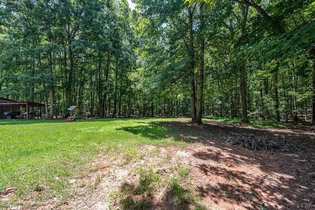 7515 New Chapel Rd, Spout Spring, VA 24593 - photo 29