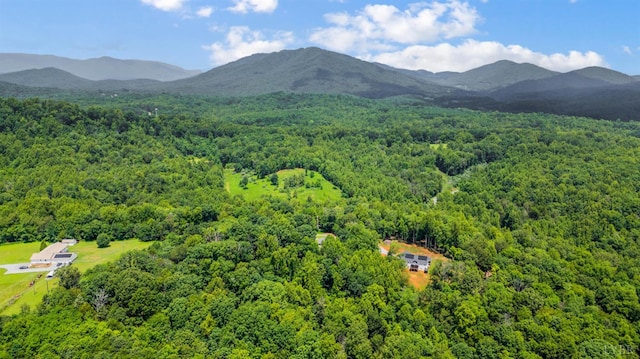 2853 White Rd, Forest, VA 24551 - photo 62