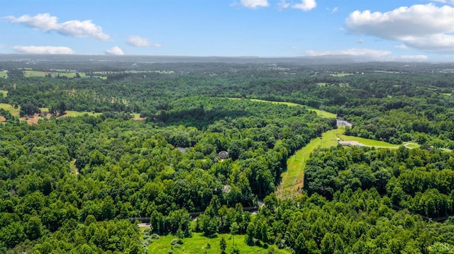2853 White Rd, Forest, VA 24551 - photo 63