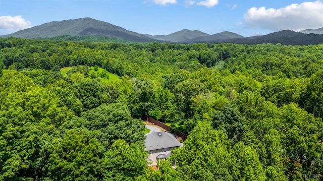 2853 White Rd, Forest, VA 24551 - photo 4