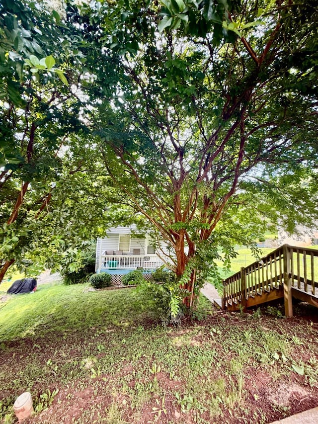 1119 Tyree St, Lynchburg, VA 24504 - view of green lawn featuring covered porch