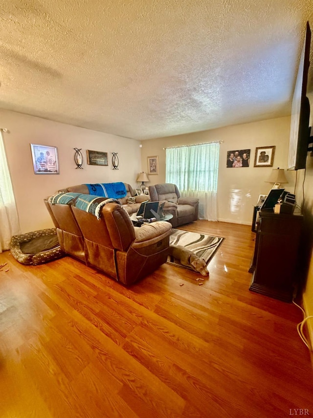 1119 Tyree St, Lynchburg, VA 24504 - living area with a textured ceiling and wood finished floors