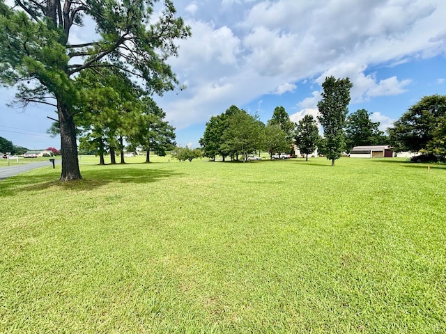 2350 Cedar Tree Rd, Appomattox, VA 24522 - photo 23