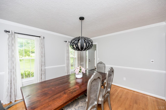 102 Stirling Ct, Forest, VA 24551 - dining room with a chandelier, light wood finished floors, ornamental molding, and a textured ceiling
