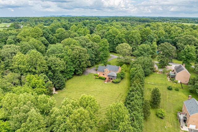 102 Stirling Ct, Forest, VA 24551 - drone / aerial view of a forest