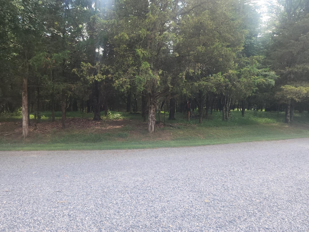 0 Kevin Dr, Goode, VA 24556 - photo 1