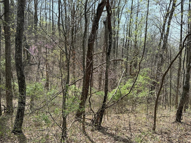 0 Murray Hollow Rd, Thaxton, VA 24174 - photo 6