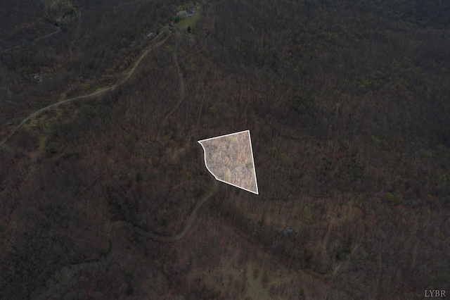 0 Murray Hollow Rd, Thaxton, VA 24174 - photo 4
