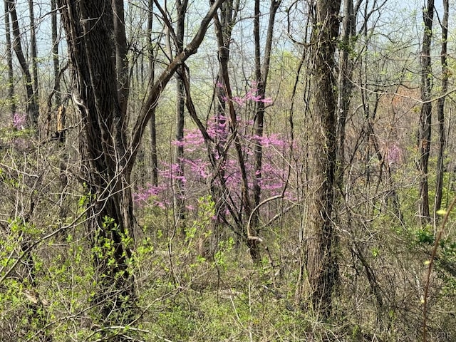 0 Murray Hollow Rd, Thaxton, VA 24174 - photo 1