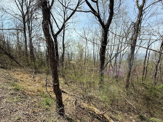 0 Murray Hollow Rd, Thaxton, VA 24174 - photo 5