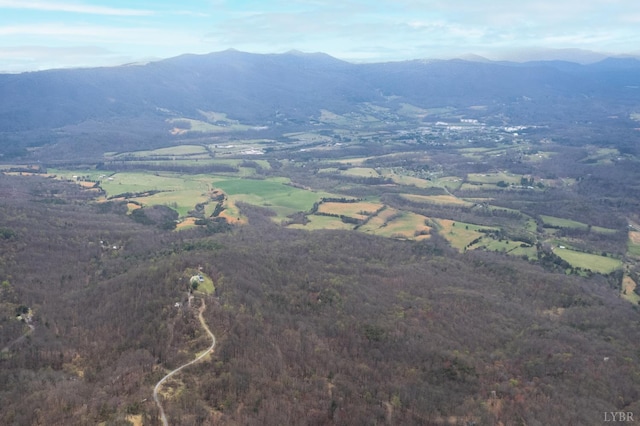 0 Murray Hollow Rd, Thaxton, VA 24174 - photo 2