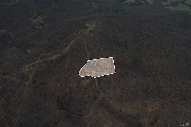 0 Murray Hollow Rd, Thaxton, VA 24174 - photo 3