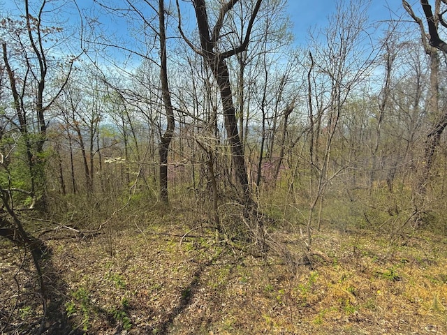 0 Murray Hollow Rd, Thaxton, VA 24174 - photo 9