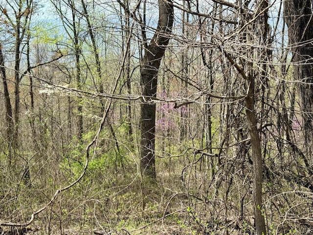 0 Murray Hollow Rd, Thaxton, VA 24174 - photo 7