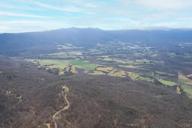 0 Murray Hollow Rd, Thaxton, VA 24174 - photo 13