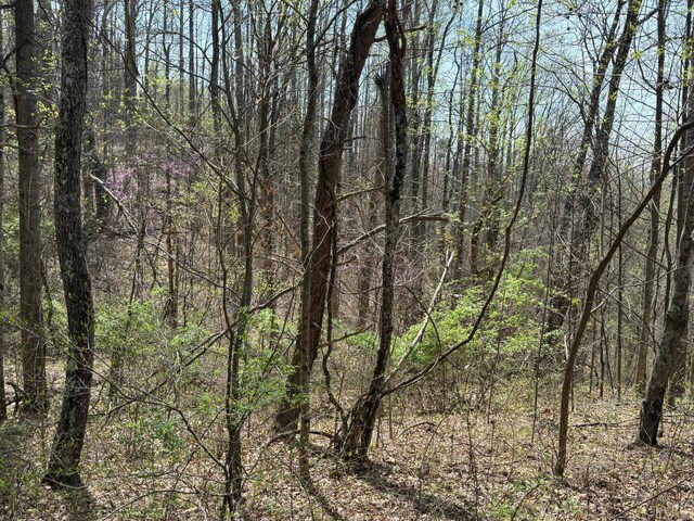 0 Murray Hollow Rd, Thaxton, VA 24174 - photo 12