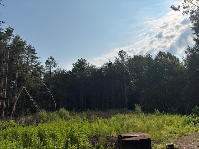 0 Felix Rd, Nathalie, VA 24577 - photo 6