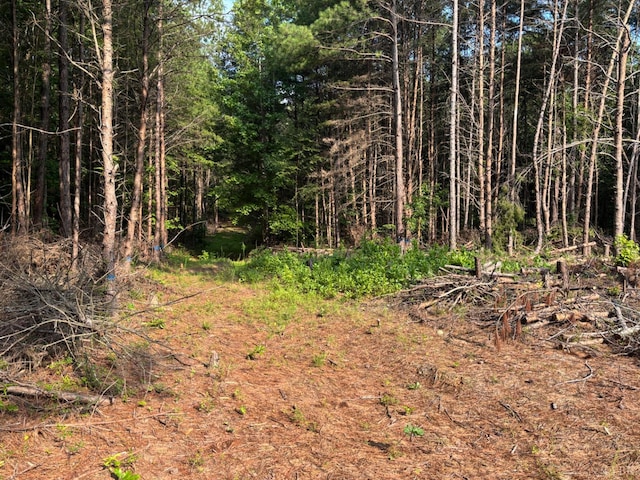 0 Felix Rd, Nathalie, VA 24577 - photo 3