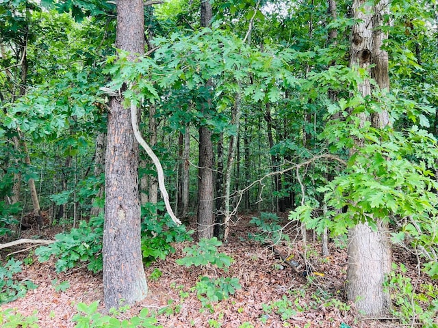 0 Main St, Hurt, VA 24563 - photo 4