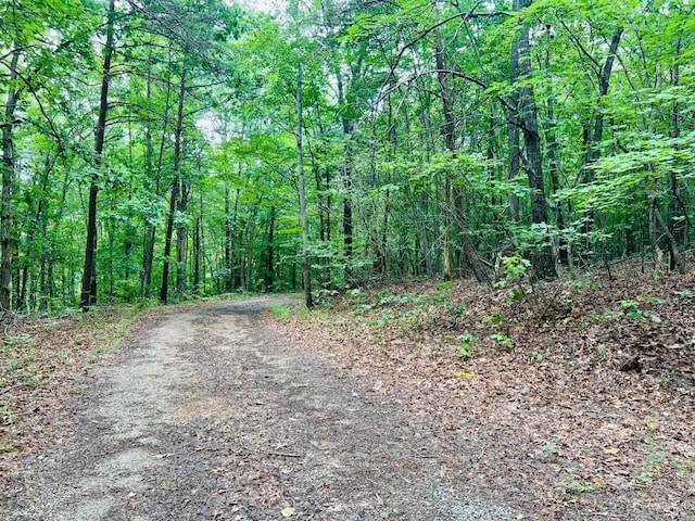 0 Main St, Hurt, VA 24563 - photo 2