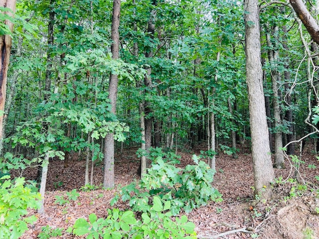 0 Main St, Hurt, VA 24563 - photo 6