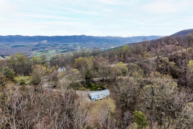 4380 Murray Hollow Rd, Thaxton, VA 24174 - photo 20