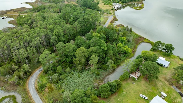 9323 Rowes Point Rd, Hayes, VA 23072 - photo 19