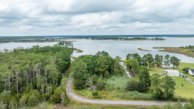 9323 Rowes Point Rd, Hayes, VA 23072 - photo 4