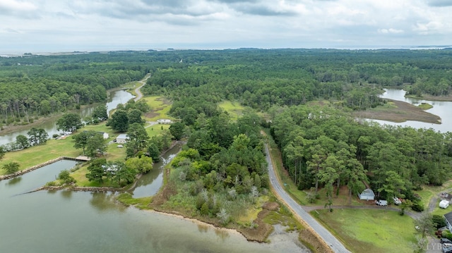 9323 Rowes Point Rd, Hayes, VA 23072 - photo 15