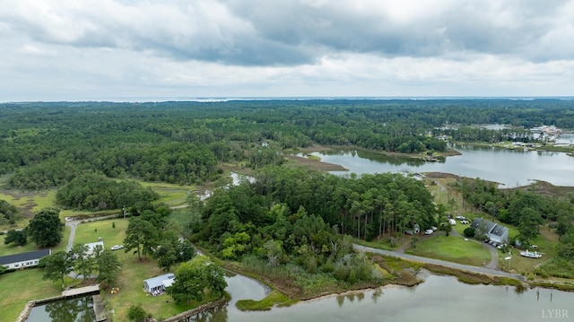 9323 Rowes Point Rd, Hayes, VA 23072 - photo 13