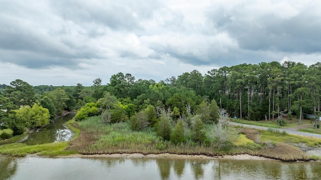 9323 Rowes Point Rd, Hayes, VA 23072 - photo 11
