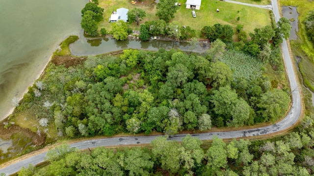 9323 Rowes Point Rd, Hayes, VA 23072 - photo 20