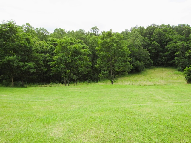 134 Friendship Ln, Madison Heights, VA 24572 - photo 37